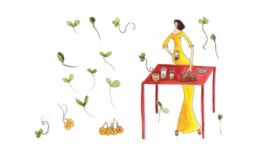 Optez pour les graines germées !