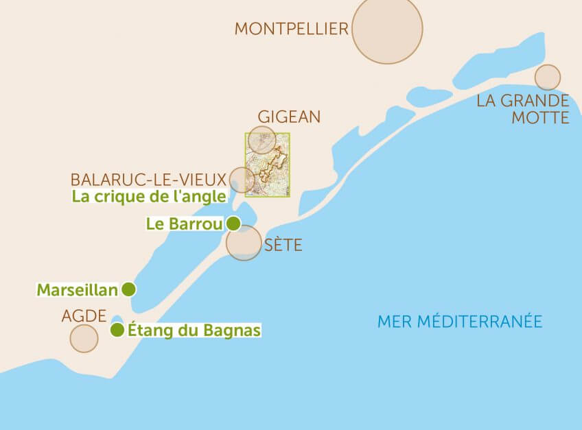 Balade autour de l'étang de Thau