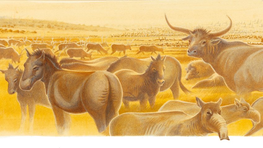 Mille millions de sabots au temps des mammouths