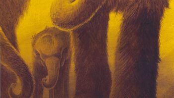 Les jeunes mammouths étaient probablement sevrés à l'âge de trois ans. Sept à dix ans plus tard, ils avaient doublé leur taille de naissance et multiplié leur poids par 15. C'est à ce moment que les mâles étaient chassés du clan familial.