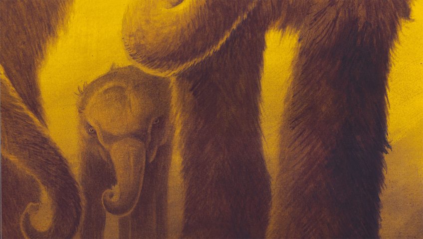 Un petit de mammouth