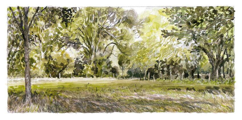 Les mésanges chantent plus grave dans les espaces riches en végétation. Le chant de bataille de la mésange charbonnière