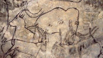 Les parois de la grotte de Rouffignac, dans le Périgord, sont ornées par plus de cent cinquante spectaculaires mammouths laineux. Les parois de la grotte de Rouffignac, dans le Périgord, sont ornées par plus de cent cinquante spectaculaires mammouths laineux.