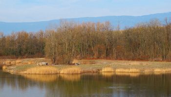 Les Teppes de Verbois et le Moulin Vert sont un îlot de biodiversité et de paix non loin de l'agitation qui règne en ville de Genève.