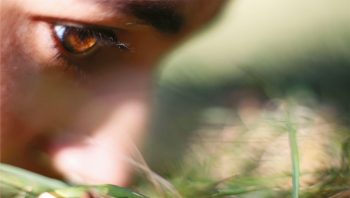 L'odorat est le seul de nos cinq ses relié directement avec le système limbique, siège des émotions et de la mémoire. L'odorat est le seul de nos cinq ses relié directement avec le système limbique, siège des émotions et de la mémoire.