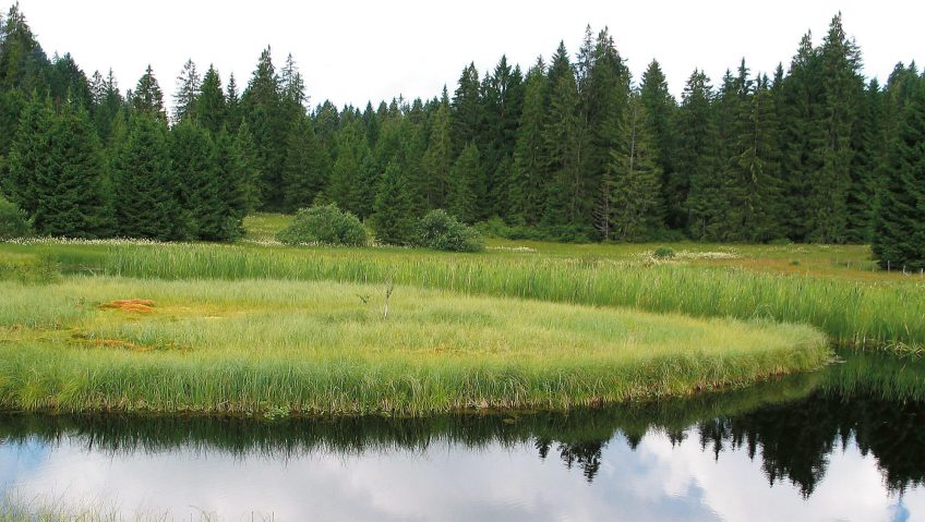 Balade à Saignelégier, au pays des étangs noirs