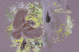 Même les hulottes ne font pas exception, le printemps est la période des amours. / © Jean Chevallier