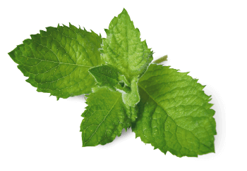 Respirez à plein nez les parfums de la nature