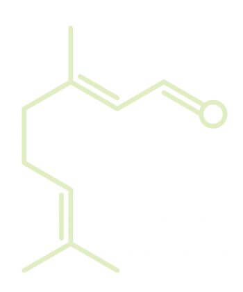 Molécule de géranial Molécules élémentaires d'odeurs