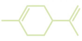 Molécule de limonène Molécules élémentaires d'odeurs