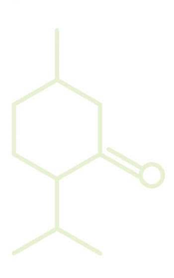 Molécule de menthone Molécules élémentaires d'odeurs