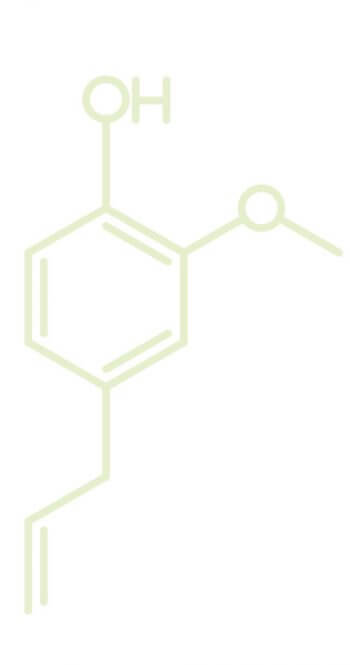 Molécule d'eugénol Molécules élémentaires d'odeurs