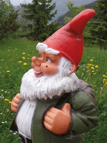 Nain de jardin Infos insolites sur les poils : épil'ogue