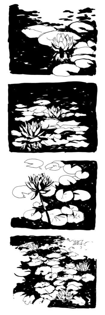 Nénuphars à l'encre de chine / © Laëtitia Locteau