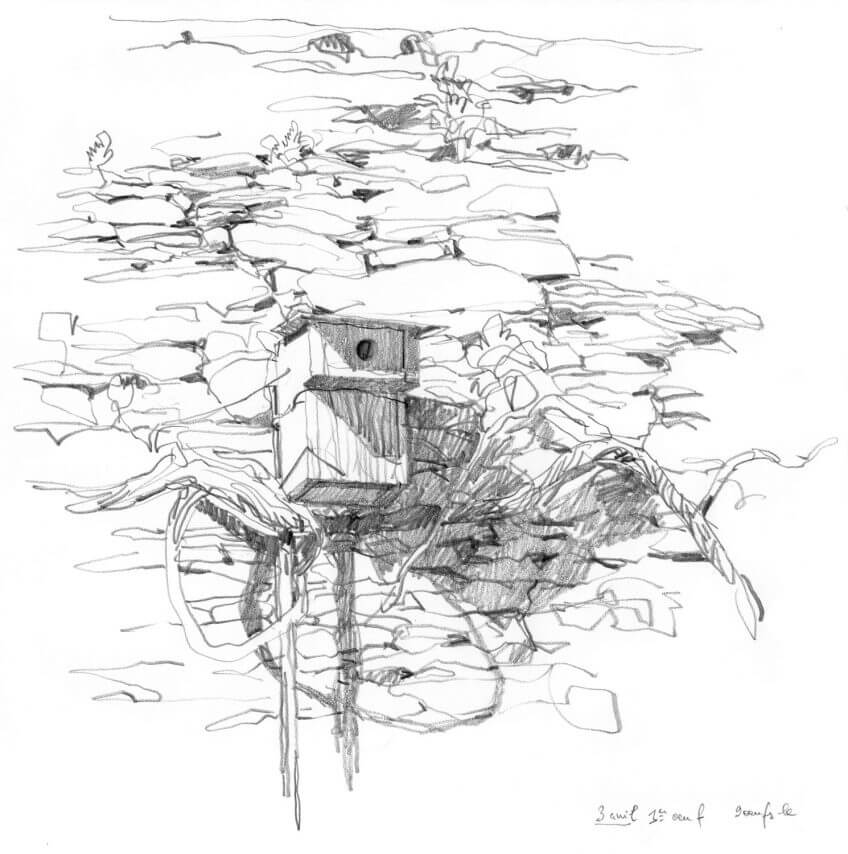 Nichoir à oiseaux La mésange charbonnière au jardin