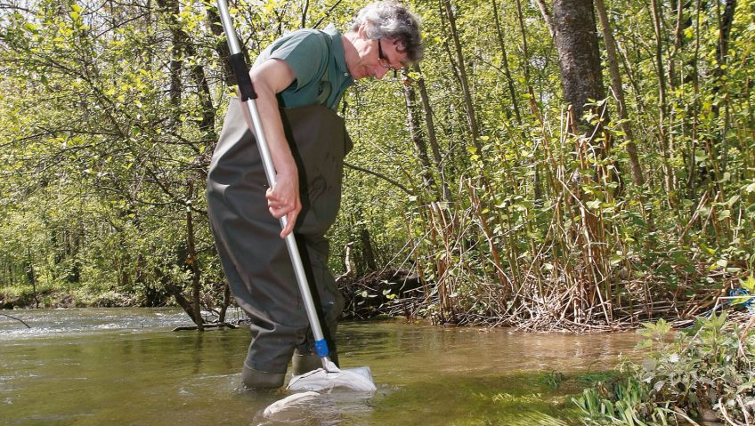 A la recherche de l'écrevisse