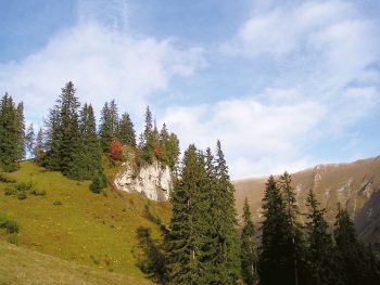 Pâturage et forêt non loin des Gastlosen / © Jacques Doutaz