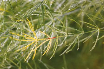 Poils inconnus n°12 Qui sont ces poilus ?