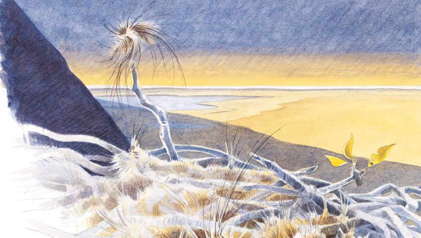 Mammouths, les colosses de la steppe