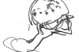 Poussin avec un reste de coquille sur la tête. / © Denis Clavreul