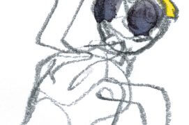 Poussin de mésange charbonnière / © Denis Clavreul