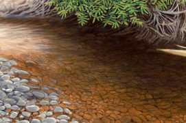 Rivière sur lit de galets / © Jérôme Gremaud