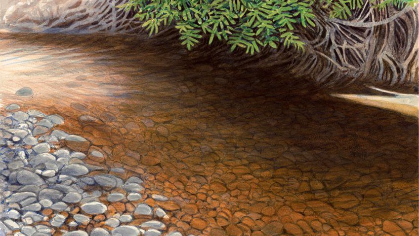 La rivière en aquarelle de Jérôme Gremaud