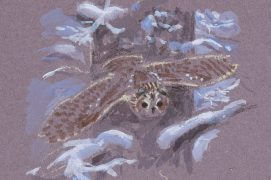 Selon la rigueur des hivers, les hulottes se concentrent à chasser ou se permettent déjà de nicher. / © Jean Chevallier