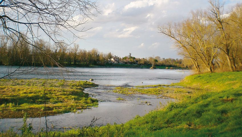 Balade au parc naturel du Confluent