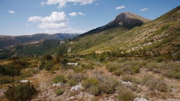 Terre caillouteuse, lavandes sèches et ciel bleu. Bienenue dans le midi de la France aux senteurs enivrantes, vers le hameau des Chauvets.