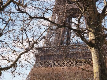 Tour Eiffel / © Fleur Daugey
