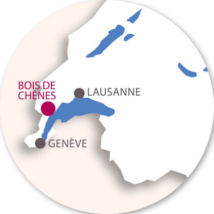 Balade au bois de Chênes de Genolier