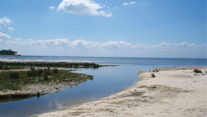 Promenade au bassin d'Arcachon