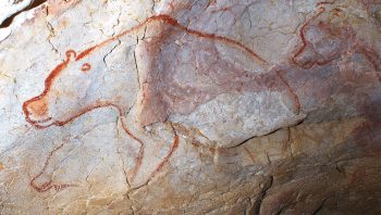 Cette fresque de la grotte Chauvet, représentant un ours, est vieille de 30’000 ans.
 Cette fresque de la grotte Chauvet, représentant un ours, est vieille de 30’000 ans.