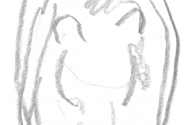 Croquis d'ours / © Jacques Rime
