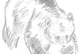 Croquis d'ours / © Jacques Rime