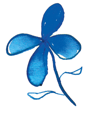 Voici venu le temps des toilettes sèches !