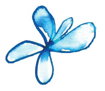 Voici venu le temps des toilettes sèches !