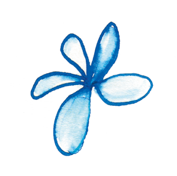 Voici venu le temps des toilettes sèches !