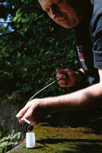 Monsieur Tardigrades