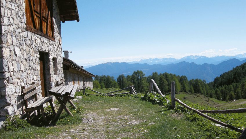 Cohabiter avec l' ours, pourquoi pas?