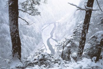 La Singine marque la frontière entre les cantons de Berne et de Fribourg sur 25 km. Elle a donné son nom au district germanophone fribourgeois.  La Singine marque la frontière entre les cantons de Berne et de Fribourg sur 25 km. Elle a donné son nom au district germanophone fribourgeois.