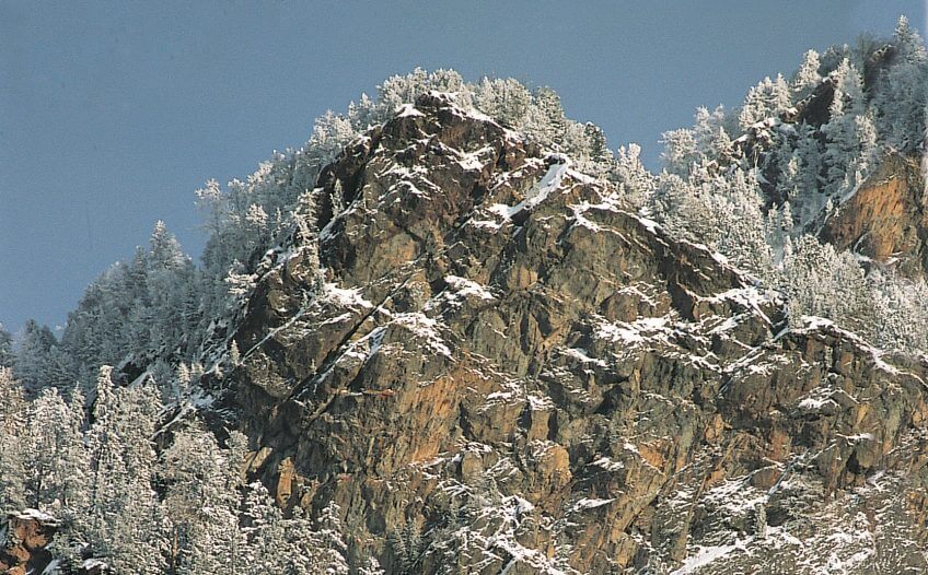 Le domaine de l'ours en hiver Une année dans la vie d'un ours