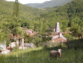 Le village d'Arbas dans les Pyrénées, lieu symbole de la coexistence entre les hommes et l'ours. Le village d'Arbas dans les Pyrénées, lieu symbole de la coexistence entre les hommes et l'ours.