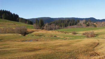 Les travaux de régénération du marais du Rothenthurm ont enfin démarré en 2005. 
 Les travaux de régénération du marais du Rothenthurm ont enfin démarré en 2005.