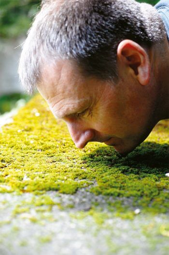 Monsieur Tardigrades