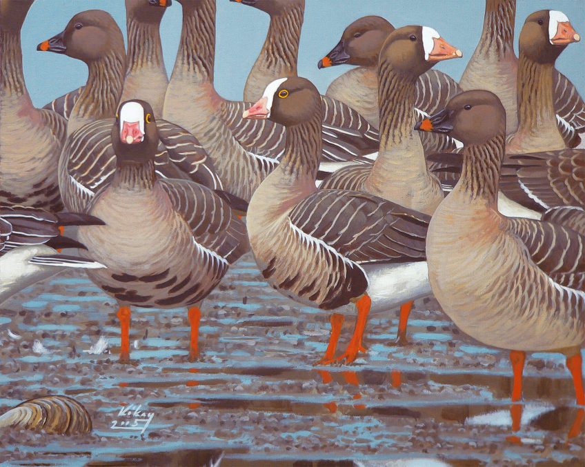 Carte blanche à Szabolcs Kókay