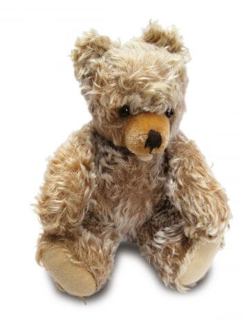 Ourson en peluche / © S. Bruschweiler