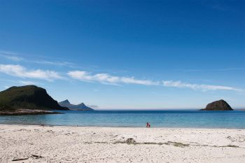 Rencontrer le tardigrade à la plage, c'est possible ! Les tardigrades à la conquête pacifique du monde