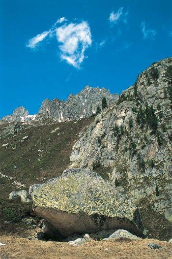 Rencontrer le tardigrade en montagne, c'est possible ! Les tardigrades à la conquête pacifique du monde